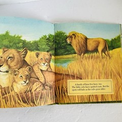 Lot 5 Elementary Nature Science Animal Kids Learning Books Hardcover Homeschool