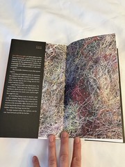 Mark Z Danielewski The Fifty Year Sword Hardcover 2012