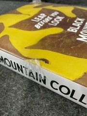 Leap Before You Look: Black Mountain College 1933-1957 Helen Molesworth