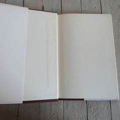 vtg The Spirit World Rev. Clarence Larkin 1921 HC / DJ