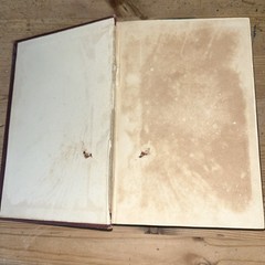 Lloyd’s Natural History 1896/97 BUTTERFLIES & MOTHS WF Kirby 5 Volumes