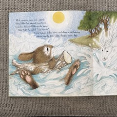 Little Lost Unicorn by Lorna Hussey (2009, Hardcover)