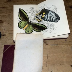 Lloyd’s Natural History 1896/97 BUTTERFLIES & MOTHS WF Kirby 5 Volumes