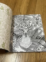 Forestcore Coloring Book 128 Pages Forest to Life Deer Mushrooms Butterflies Art