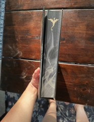 Onyx Storm Collector’s Edition Illustrated Hardcover Novel by Rebecca Yarros
