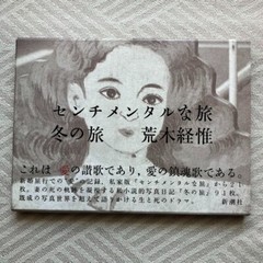 Photo Book Sentimental Journey Winter 1991 Nobuyoshi Araki Japanese Used