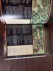 Official Strategy Games Guild Wars Prima Games (No Poster)