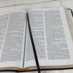 The Jack Van Impe Prophecy Bible-KJV Special Limited Edition Leather Bible