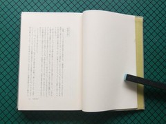Yukio Mishima Ranryo-o 1971 Shinchosha Box with Obi, Rare Japanese Novel
