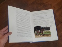 Solo Schooling – Horseriding by Wendy Jago / 2003, J.A. Allen