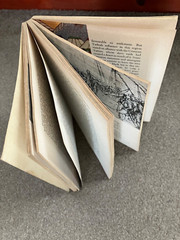 FIRST EDITION 1968 THE OTTOMAN IMPACT ON EUROPE P/B BY PAUL COLES 216 PAGES