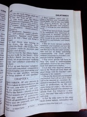 The Amplified Bible Giant Print Lockman Foundation AMP Bible SEE DETAILS