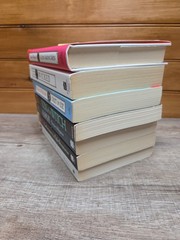 Gregory Maguire Wicked Series Lot Of 7 Books 6 SC / 1 HC Pre-owned VG