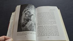 Vintage 1972 Sportsman’s Guide To Game Animals Leonard Rue Outdoor Life HC Book