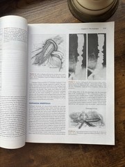 Surgical Review : An Integrated Basic and Clinical Science Study Guide by Paige
