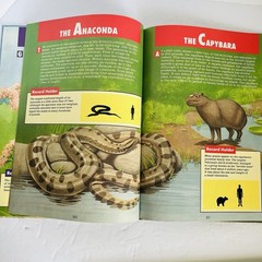 Lot 5 Elementary Nature Science Animal Kids Learning Books Hardcover Homeschool