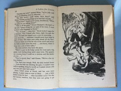A Cabin for Crusoe by David Severn. Illus. by J. Kiddell-Monroe. Adventure Story