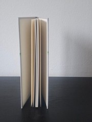 Mensch und Staat von Niccolò Machiavelli (2012, Gebundene Ausgabe) Neuwertig
