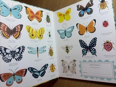 El Origen de las Especies Charles Darwin Sabina Radeva HC 2019 Español Illus