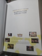 Pokemon Trading Card Game Illustration Collection Art Book (2016 Paperback)