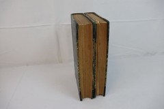 Argosy 1875 Volumes 1-2 Leather Bound Collectible Books Set