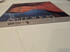 Modigliani Art Book Japanese Art Design Exhibition Catalog 8.2×9.4in Collectible