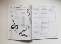 Teach Them Spanish Grade 3, lessons, worksheets & activities (Brand New)