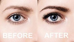 Eyebrow Extensions Kit with 1 x Trays of Mink 3 Ounce (Pack 1), Dark Brown