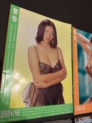 Rare Early 2000s Young Magazine Adult Asian Photo Book Lot Of 6 Hong Kong
