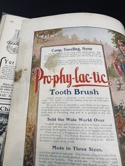 The Garden Magazine Vol. IV August 1906 to January 1907 Vintage Gardening