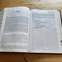 1985 NIV Study Bible Forest Green Bonded Leather Indexed Zondervan Red Letter
