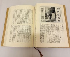 Japanese Literature Box Set Tanizaki Shiga 2 Books Shinchosha Japan
