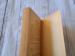 DIVINE MYSTERIES OF MOST HOLY ROSARY By Mary Of Agreda 3rd printing 328 pages