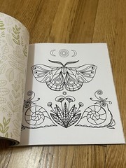 Forestcore Coloring Book 128 Pages Forest to Life Deer Mushrooms Butterflies Art
