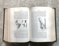 Practical Surgery For The General Practitioner, Senn, 1901, Illustrated, Good+