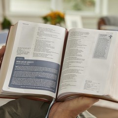 Life in Christ Bible: Discovering, Believing, and Rejoicing in Who God Says…