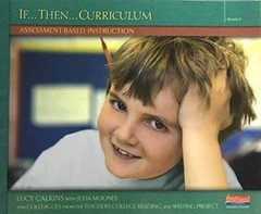 If… Then… Curriculum Grade 3 – Paperback – GOOD