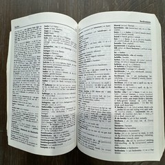 Larousse Concise Spanish – English, English-Spanish Dictionary by Larousse Staff