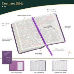 KJV Holy Bible, Compact Faux Leather Red Letter Edition – Ribbon Marker, King