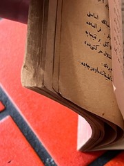 1924 Ottoman Turkish Book Gustave Le Bon Le Déséquilibre du Monde Looped Pages