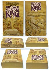 T.H. White ONCE & FUTURE KING, BOOK OF MERLYN lot of 2 mm paperback