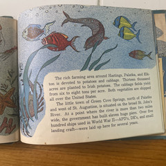 Picture Book of Florida Bernadine Bailey 1953 Kurt Wiese