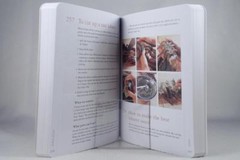 What’s A Cook To Do? By James Peterson How to…Many Solutions 422 Pages NEW