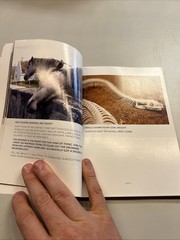 Animals Talking in All Caps: It’s Just – paperback, Justin Valmassoi, 0385347642