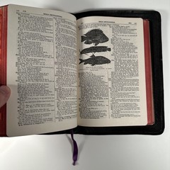 1928 The Marked Holy Bible Self Pronouncing Winston International Leather Gilt