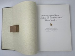 2007 Drawing Upon Nature: Studies for the Blaschkas’ Glass Models Botanical Ills