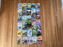 MCGRAW HILL WONDERS LEVELED READERS / GRADE 1 / BEYOND / 30 BOOKS