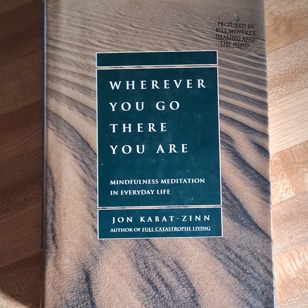 Wherever You Go There You Are Jon Kabat-Zinn Meditation Paperback