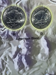 Westward Series Nickels: Collector’s Map by Whitman Publishing