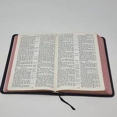 Holy Bible Brevier Self Pronouncing India Paper Great Britain Goatskin Oxford